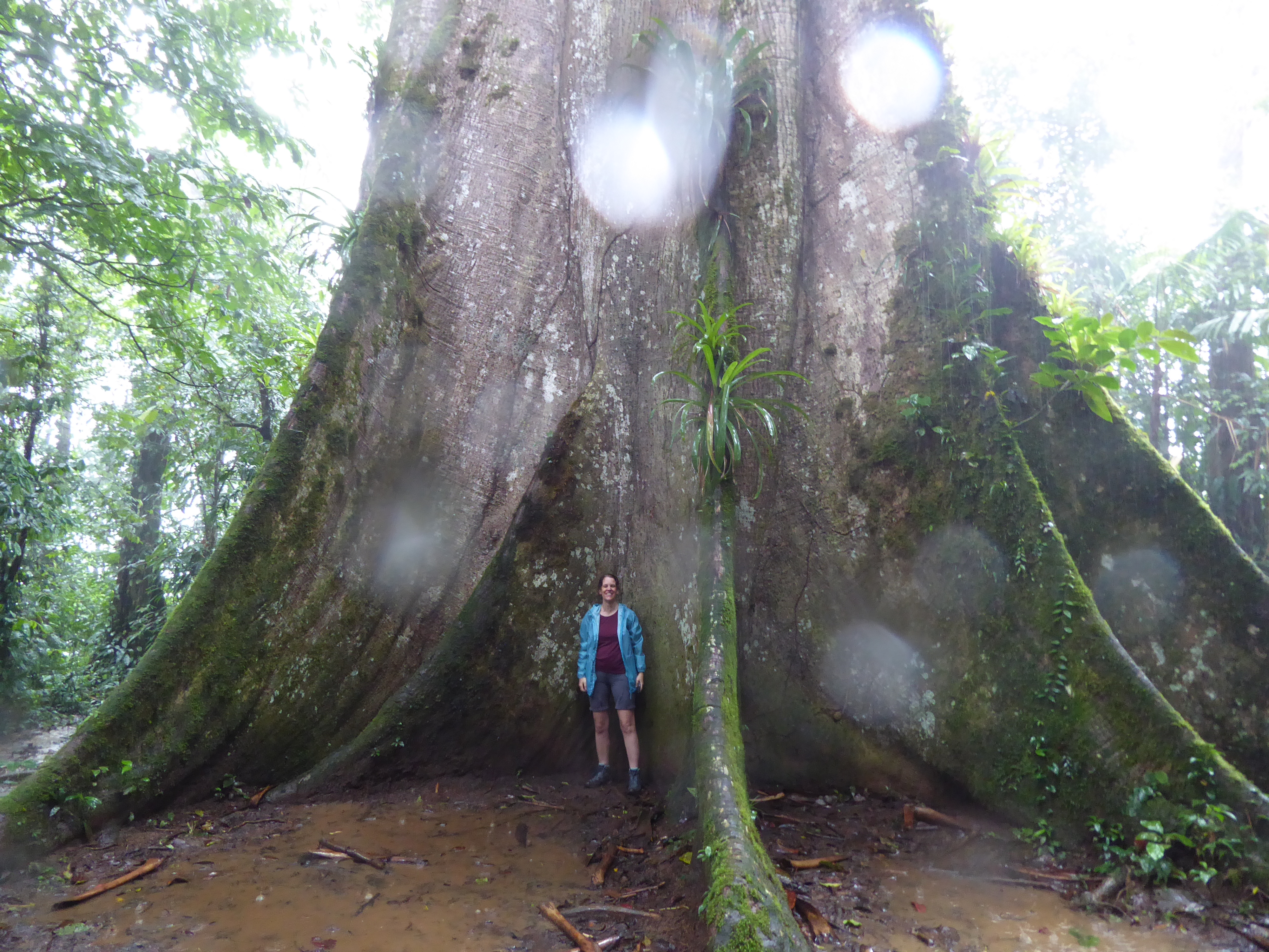 Costa Rica – a Sustainable Paradise?