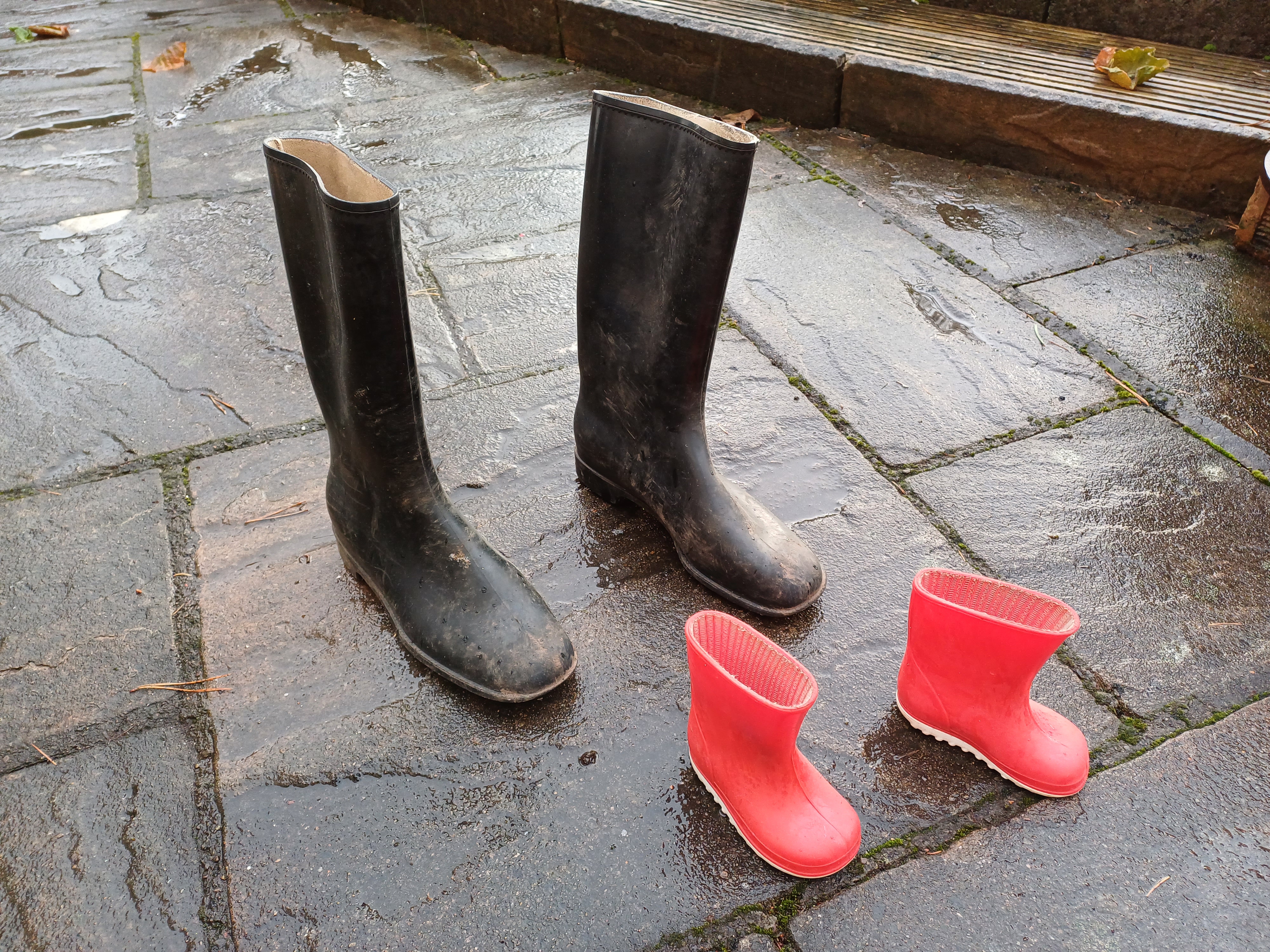 How to Slash your Carbon Footprint