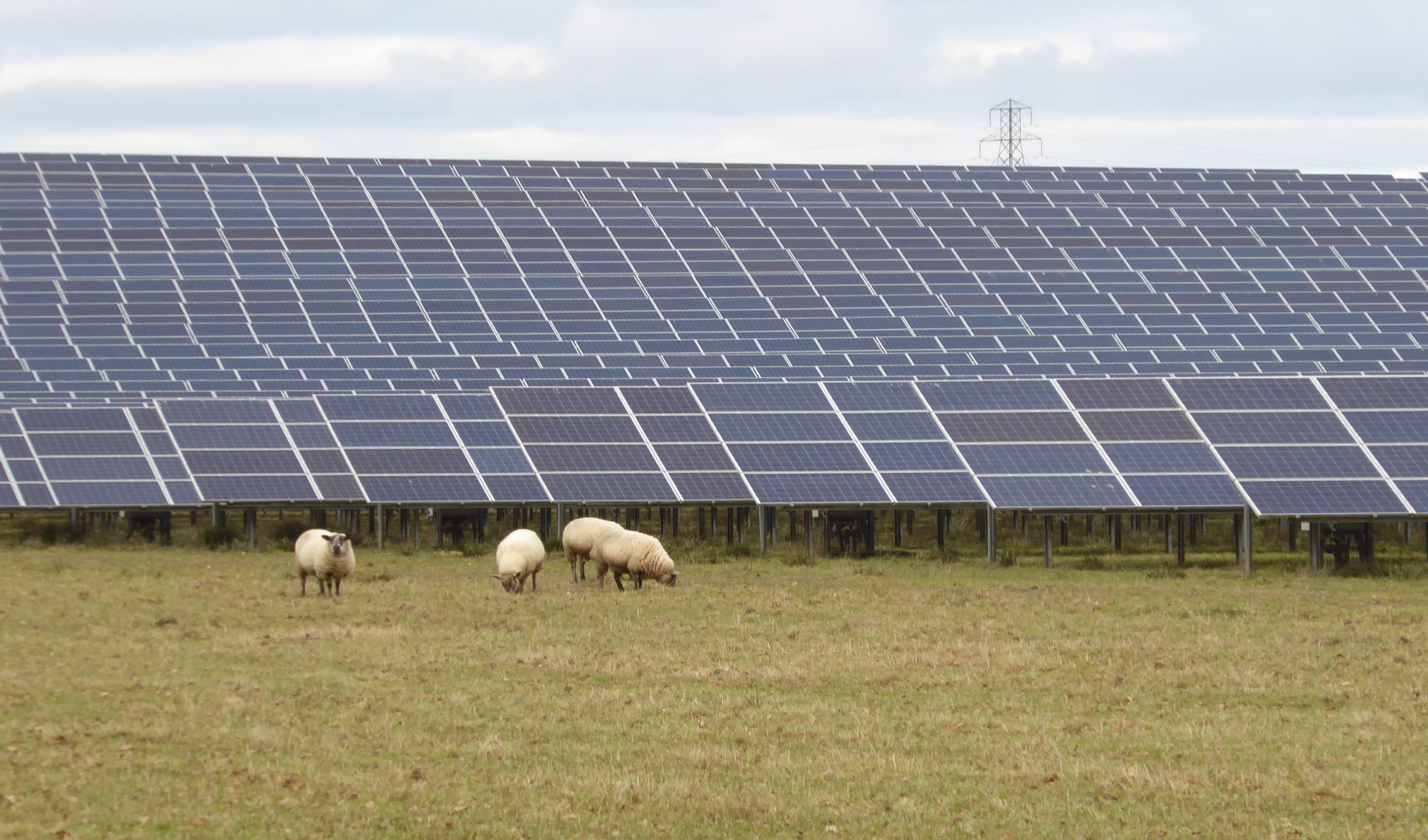 The Future is Bright